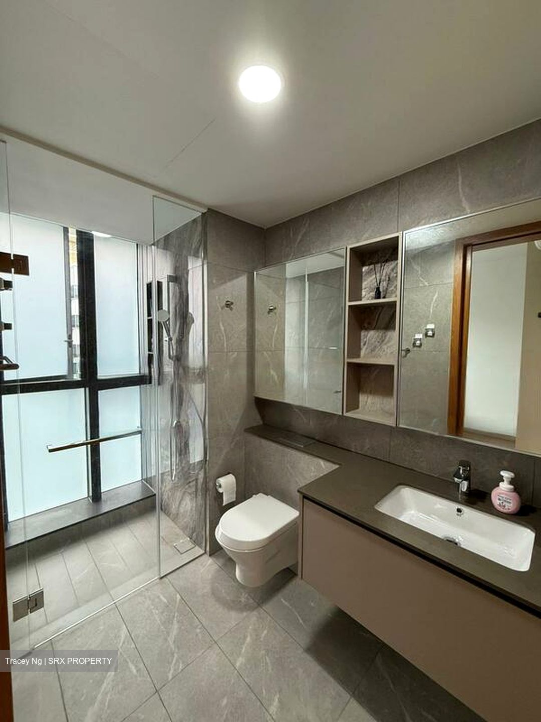 Penrose (D14), Apartment #480758861